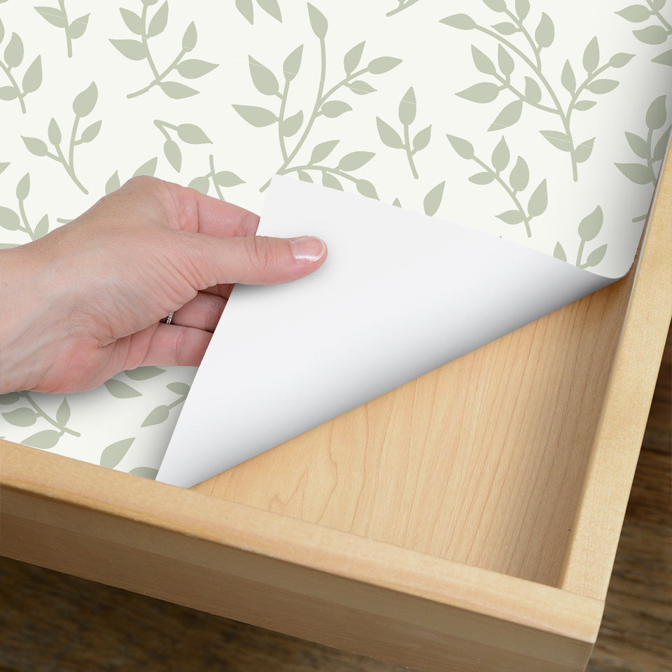 Con-Tact® Brand Creative Covering™ Laurus Cream Sage