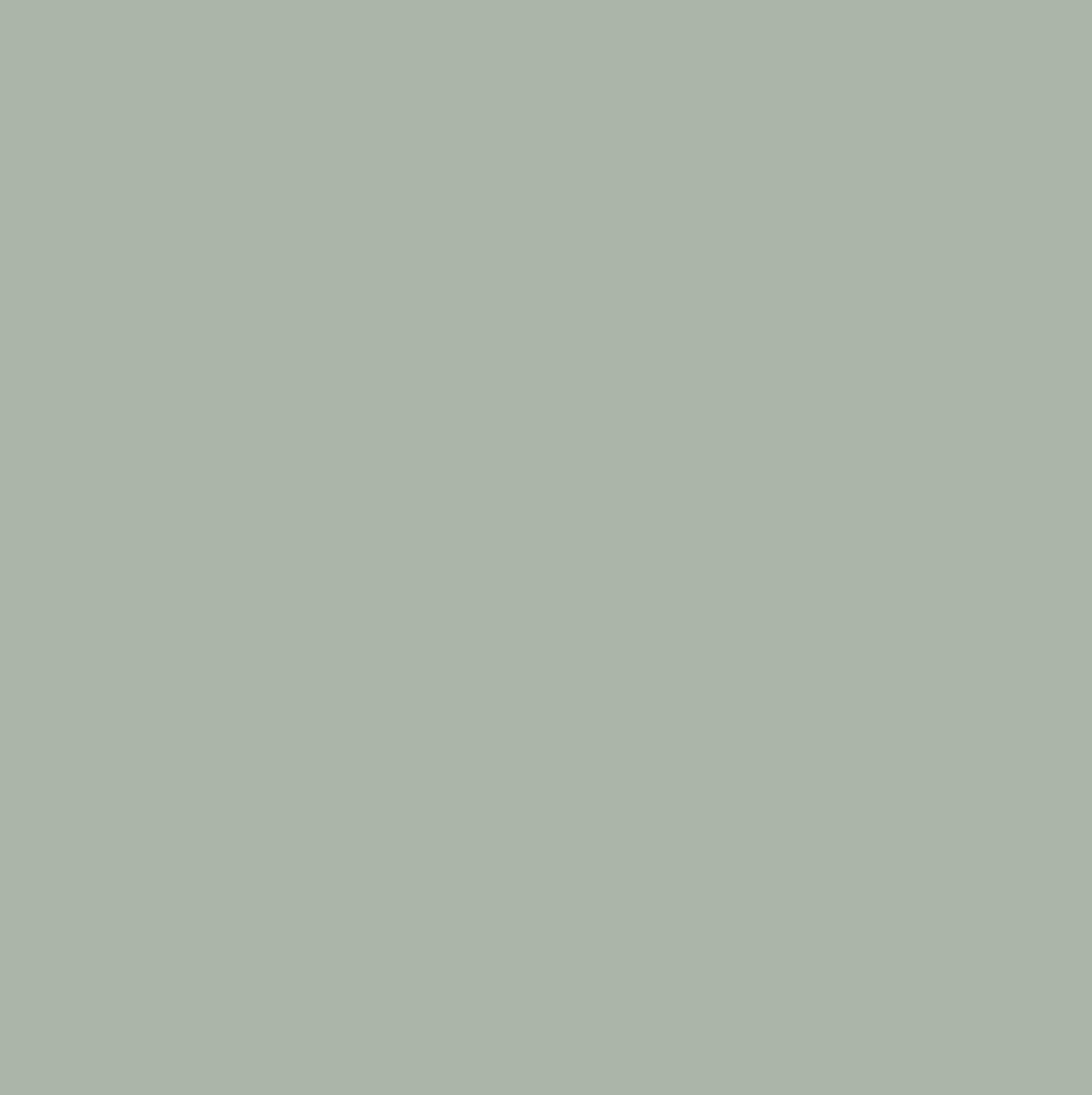 Color View All – Con-Tact Brand